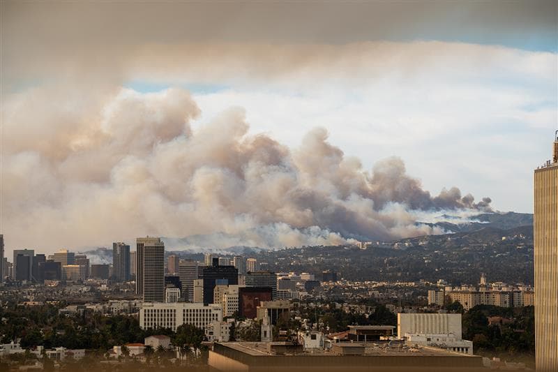 wildfire Pacific Palisades Los Angeles January 2025