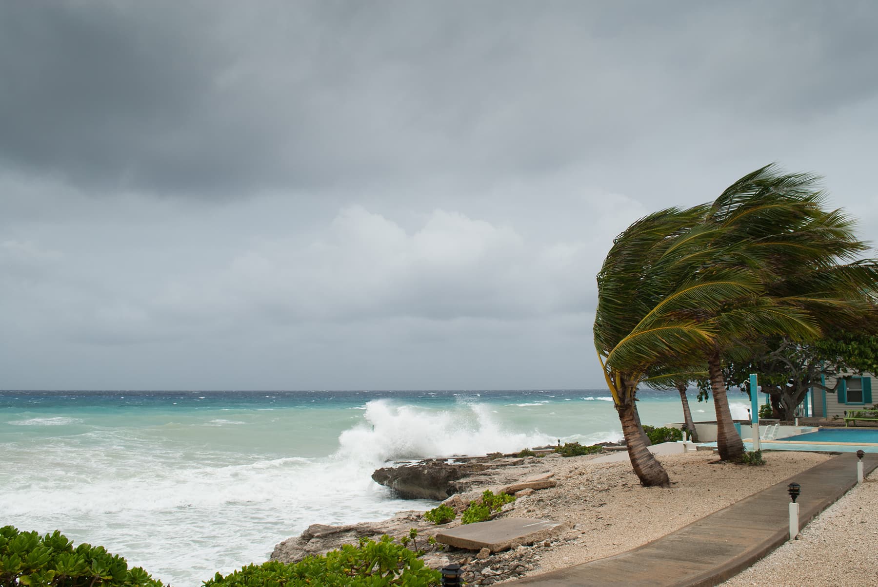 Hurricane-related storm surge on a tropical beach with palm trees being swept by the wind.
