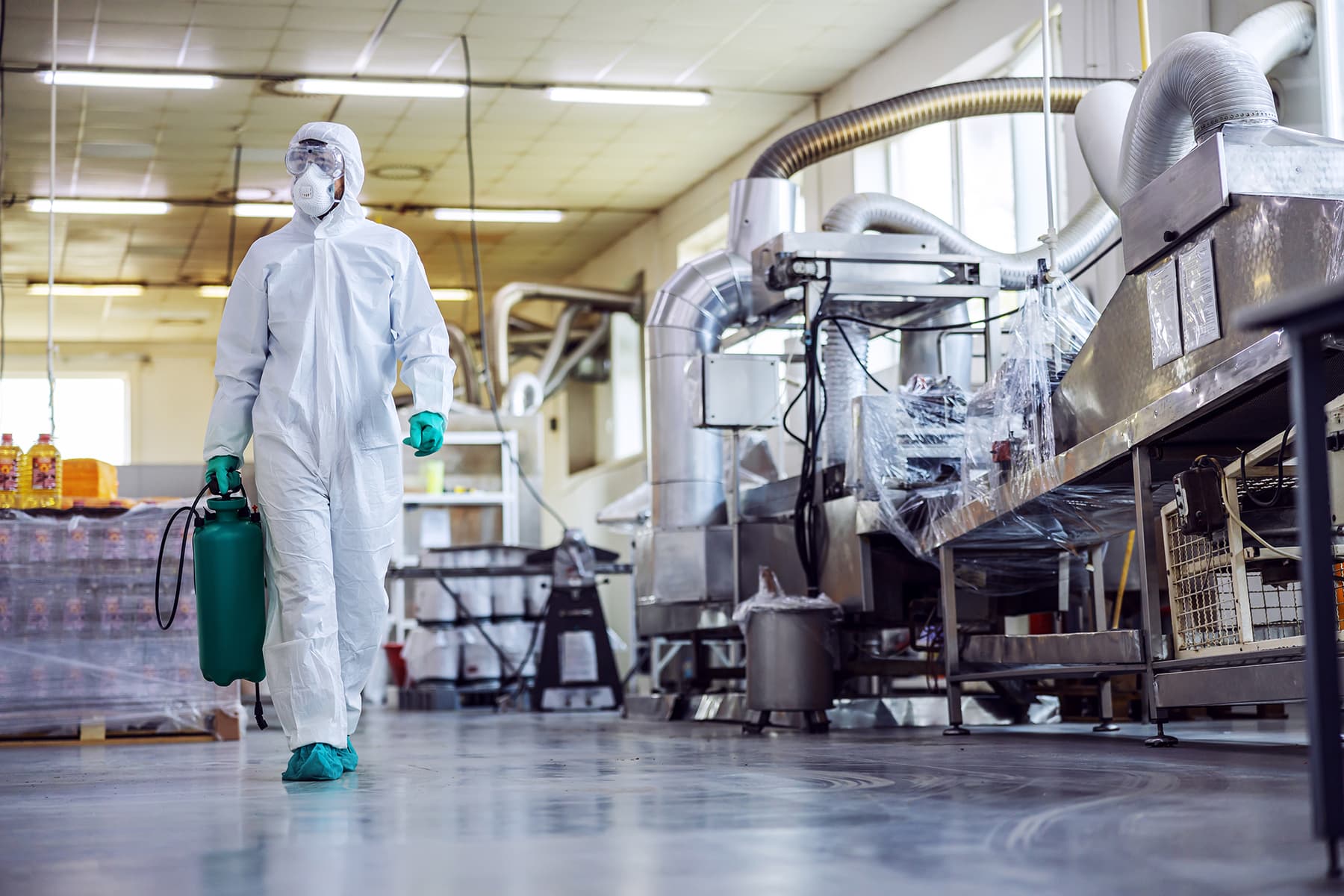 Importance of Food Safety Standards in the Global Economy Importance of Food Safety Standards in the Global Economy