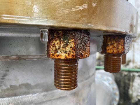 Solving the Challenge of Persistent Listeria Contamination in Food Processing Environments Solving the Challenge of Persistent Listeria Contamination in Food Processing Environments