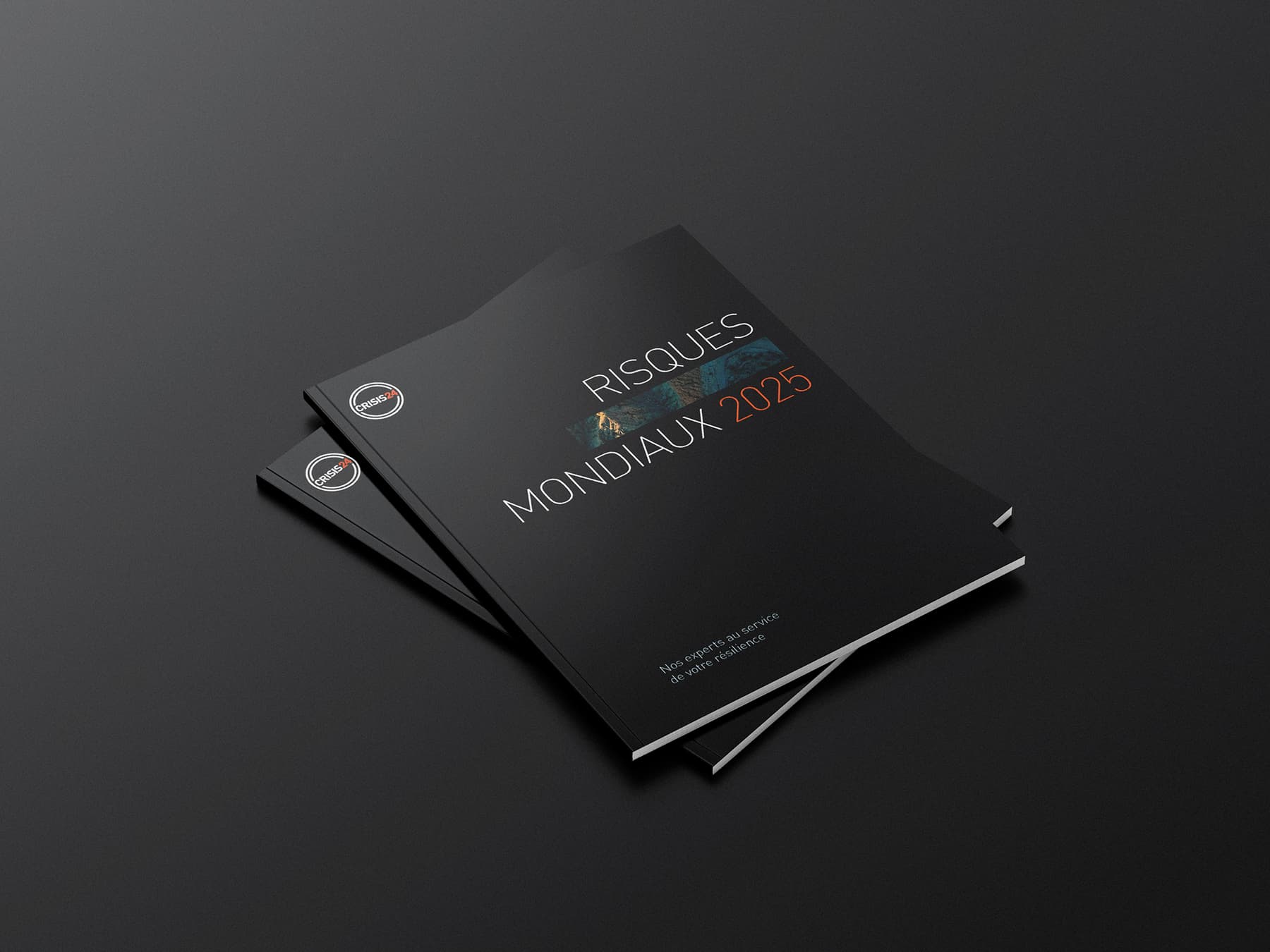 Rapport risques mondiaux Rapport risques mondiaux