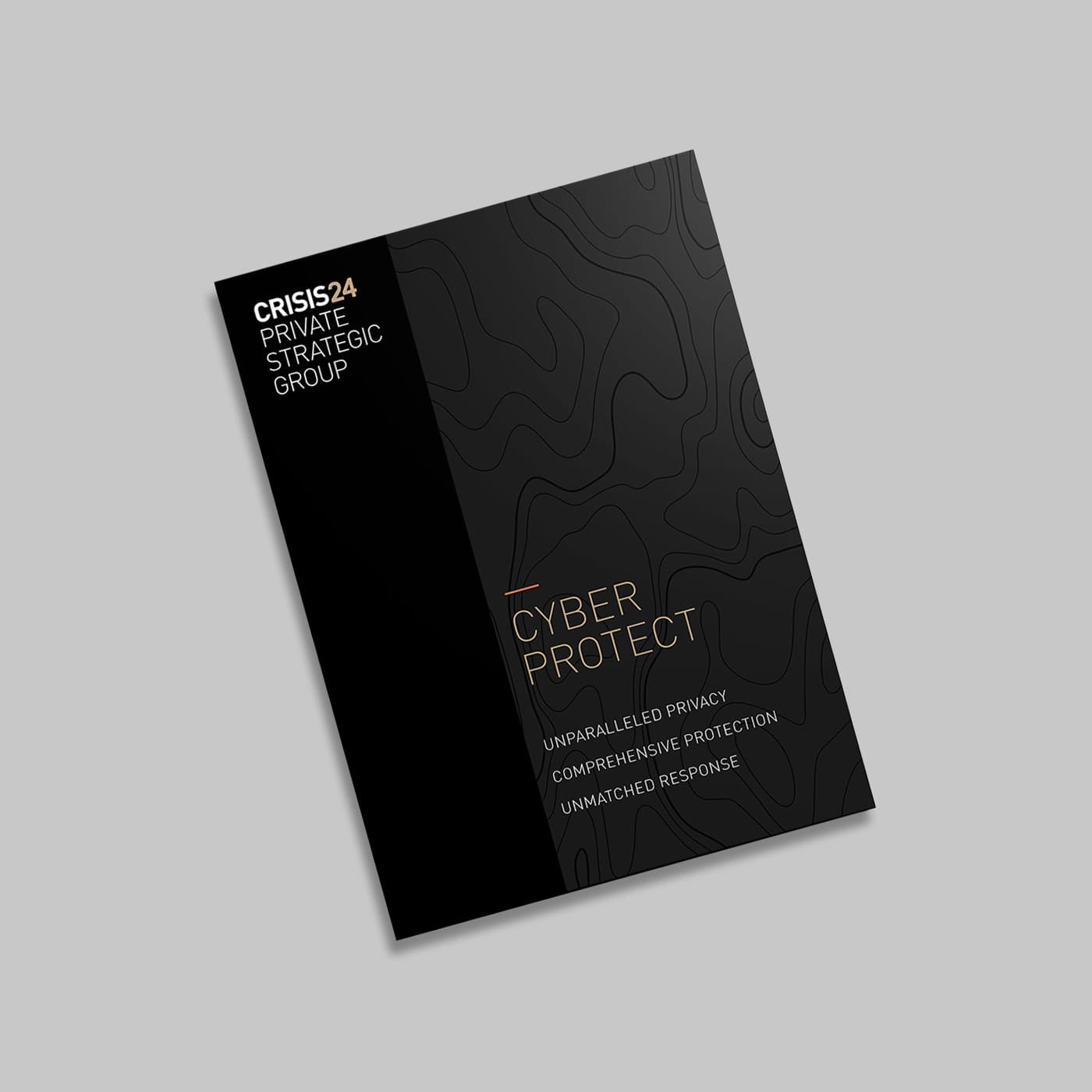 PSG Cyber Protect Brochure PSG Cyber Protect Brochure